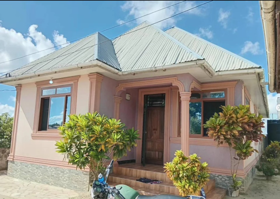 2-room rental in Sinza